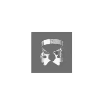 Lower Molars
