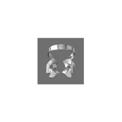 Molars