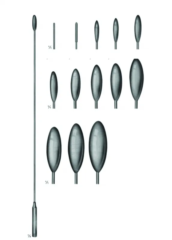 Gall Duct Dilators &amp; Gall Stone Scoops