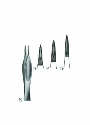 Splinter and Cilia Forceps