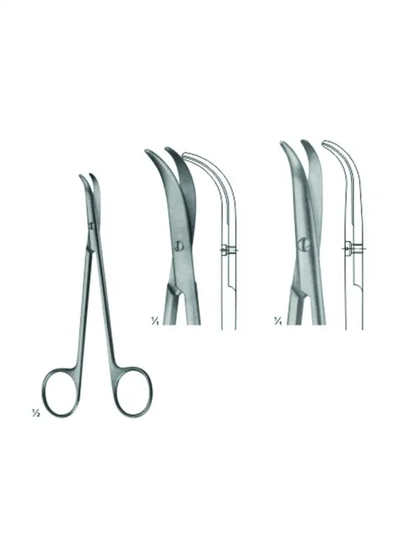 Dissecting Scissors