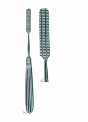 Bone File and Rasps