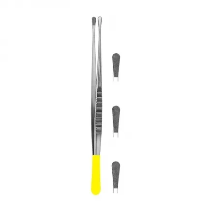 Dissecting Forceps &amp; Needle Holder T.C Instruments